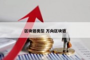 区块链类型 万向区块链