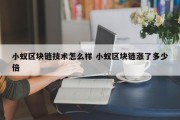 小蚁区块链技术怎么样 小蚁区块链涨了多少倍