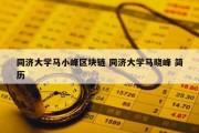 同济大学马小峰区块链 同济大学马晓峰 简历